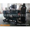 現(xiàn)貨供應(yīng)優(yōu)質(zhì)斗山大宇發(fā)電機組，帕金斯發(fā)電機組，德國曼發(fā)電機組